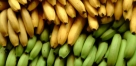 Bananas