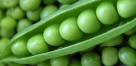 Peas